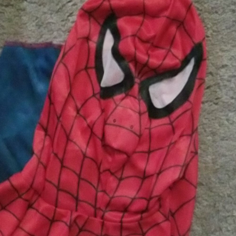Large Spider Man - Picture 4 of 5